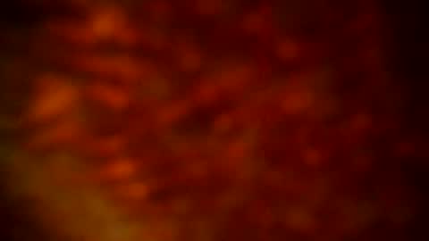 samueltal online show from September 2025 09:50:01 PM