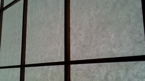 Snapshot of samurai1910 chatting on April 2026 04:50:02 AM ssk online show from April 2026 04:50:02 AM