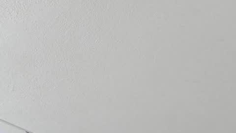 Samy  online show from October 2025 11:00:01 AM