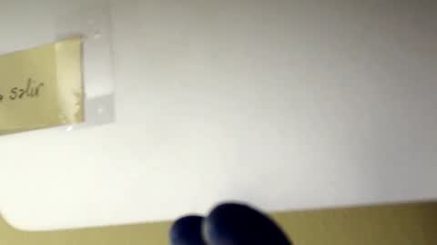 sanbig69 online show from December 2024 05:11:01 PM