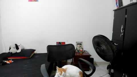 Snapshot of santiceballo chatting on July 2026 06:09:01 AM Julius Novachrono online show from July 2026 06:09:01 AM