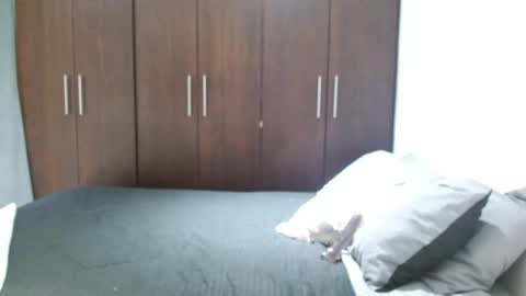 Snapshot of santti_torres chatting on June 2026 04:27:01 AM Santy Torres online show from June 2026 04:27:01 AM