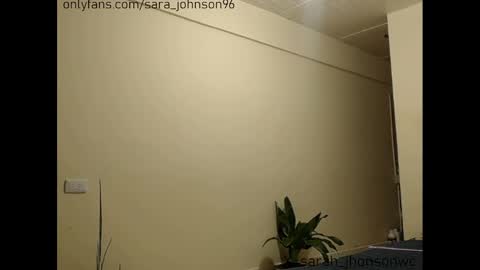 sara_johnson__ online show from January 2025 04:16:02 AM