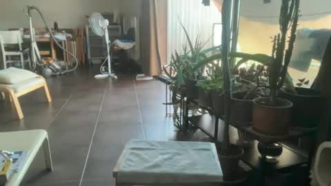 Snapshot of sarafossette chatting on June 2026 11:10:01 AM Sara Fossette online show from June 2026 11:10:01 AM