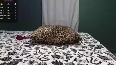 Sarah Babes online show from June 2026 03:02:01 AM