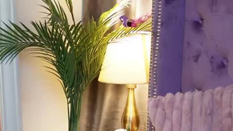  Sarai  online show from July 2026 03:55:02 AM