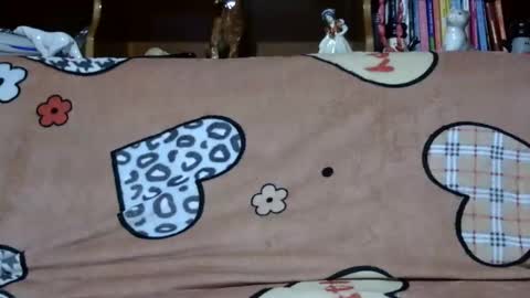 Snapshot of sarraella chatting on December 2024 05:26:01 PM Sarra online show from December 2024 05:26:01 PM