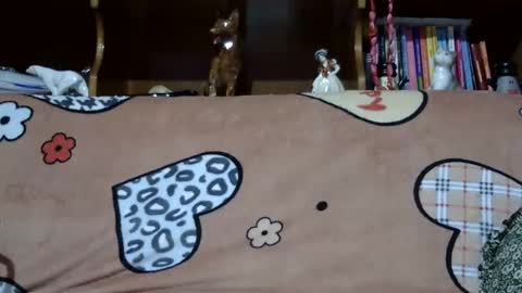 Snapshot of sarraella chatting on December 2024 08:27:01 PM Sarra online show from December 2024 08:27:01 PM