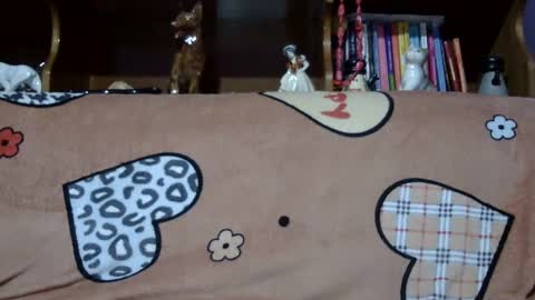 Snapshot of sarraella chatting on January 2025 02:37:01 PM Sarra online show from January 2025 02:37:01 PM