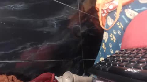 sasha online show from February 2026 08:24:02 AM