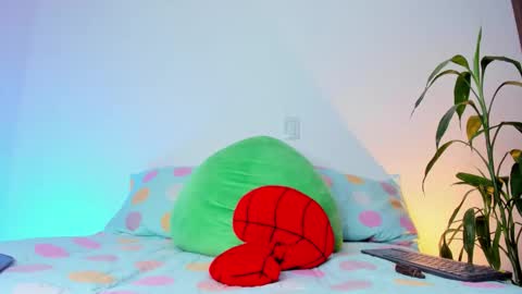     online show from November 2025 08:14:02 AM