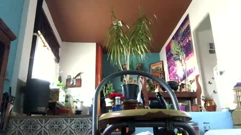 satur850 online show from December 2024 09:17:01 AM