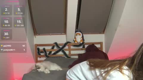 Snapshot of savvye chatting on December 2025 06:25:01 PM Sava online show from December 2025 06:25:01 PM