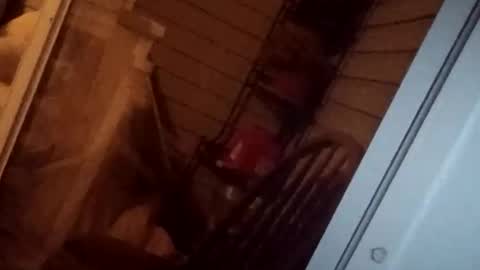 savy5150 online show from April 2026 05:02:02 AM