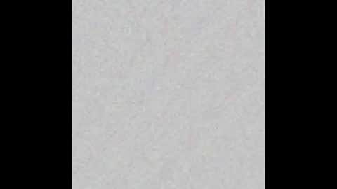 Venus online show from February 2025 11:23:02 AM