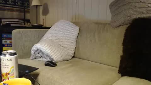 Scand online show from March 2026 12:12:01 AM