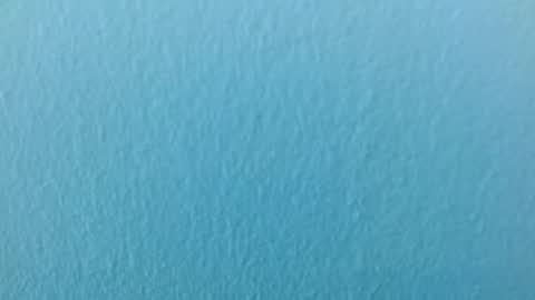 scarlet771776 online show from November 2025 08:12:01 PM