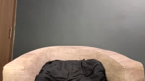 scarlett_is_here online show from April 2026 01:38:01 AM