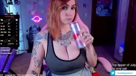 Snapshot of scarlettpython1 chatting on July 2026 11:00:01 PM Scarlett online show from July 2026 11:00:01 PM