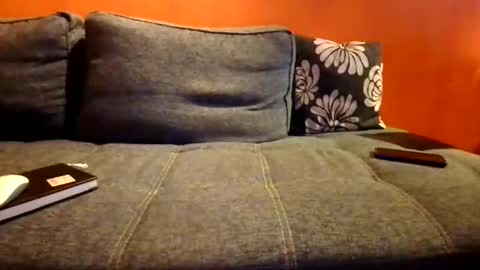 schmuhbaer1 online show from December 2025 07:58:02 AM