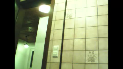 schnibschnab online show from November 2025 08:46:02 PM