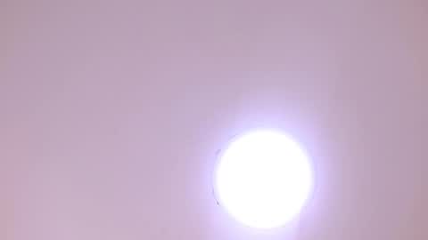 Damar online show from January 2026 06:32:02 PM