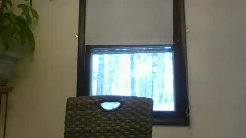 scottpbi52 online show from January 2025 05:39:02 PM