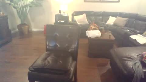 Scottsindeep online show from November 2025 11:12:01 AM