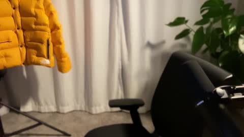 Scotty online show from December 2024 11:52:02 AM