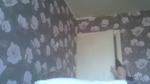 scylla5 online show from March 2026 11:16:02 AM