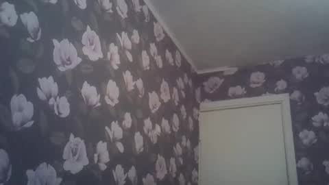 scylla5 online show from April 2026 08:40:01 PM