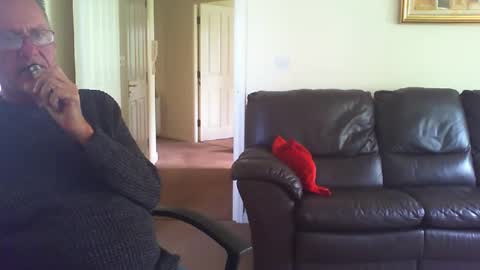 seakrait online show from April 2026 12:52:02 PM