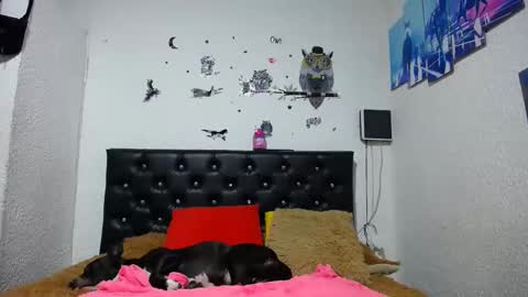 Myystiic online show from January 2025 02:22:02 AM