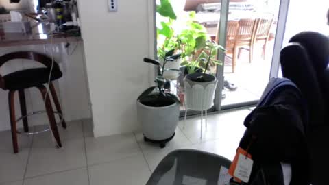 sebastianalll online show from December 2024 12:22:01 AM