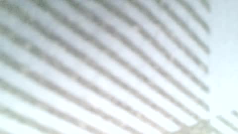 Snapshot of secret18slaveanon chatting on March 2025 11:53:01 PM Sunny online show from March 2025 11:53:01 PM