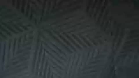 Sunny online show from June 2026 03:46:02 PM