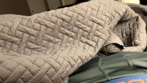 secretlyseductive9399 online show from December 2024 01:14:01 PM