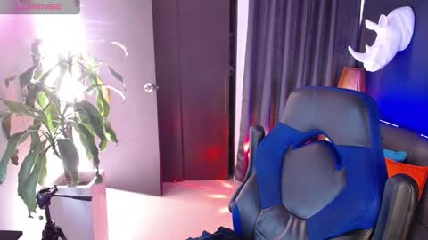 sed online show from February 2025 11:55:01 AM