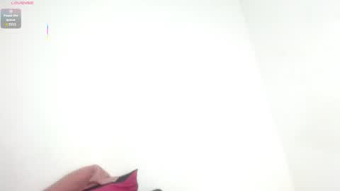 Estefany online show from July 2026 11:46:02 AM