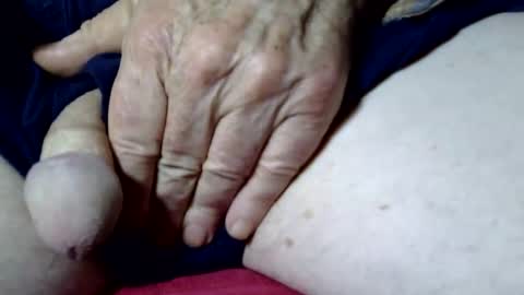 seeus24 online show from November 2025 04:51:02 AM