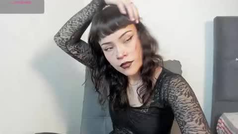 seijacu  online show from December 2025 07:45:02 PM