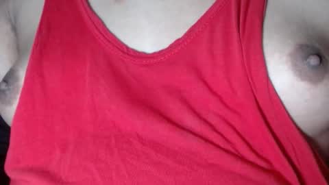 Selda online show from December 2024 03:40:01 AM