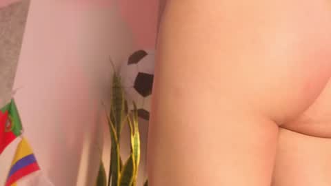Snapshot of selen_marcell chatting on June 2026 01:50:01 PM selen_marcell online show from June 2026 01:50:01 PM