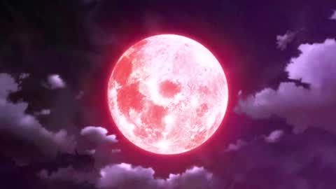 Selene G  online show from January 2026 01:19:01 AM