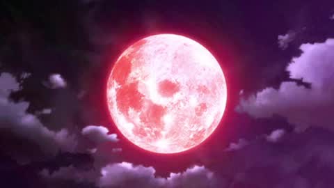 Selene G  online show from April 2026 03:17:02 AM