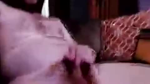 Chris my ass online show from June 2026 01:10:01 AM