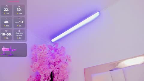 Sennia online show from February 2025 05:28:01 PM