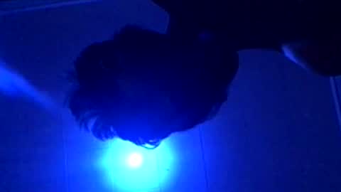 Snapshot of senseisalami chatting on November 2025 09:22:01 AM senseisalami online show from November 2025 09:22:01 AM