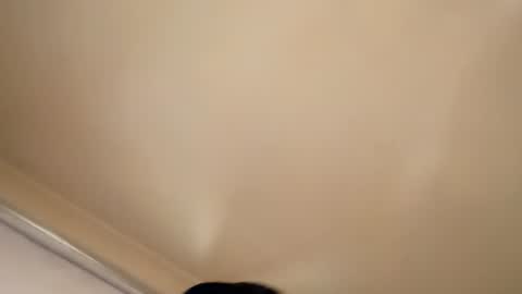 sethandrah_n_crazyeyes online show from July 2026 12:45:01 PM
