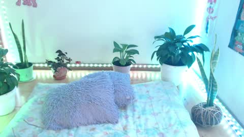 samy online show from April 2026 02:06:01 AM